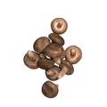 Shiitake sopp – Alt du trenger å vite om dyrking, smak og bruk