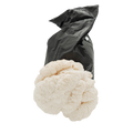 Lion’s Mane (Piggsvinsopp): Komplett Guide til Dyrking, Tradisjon og Matlaging