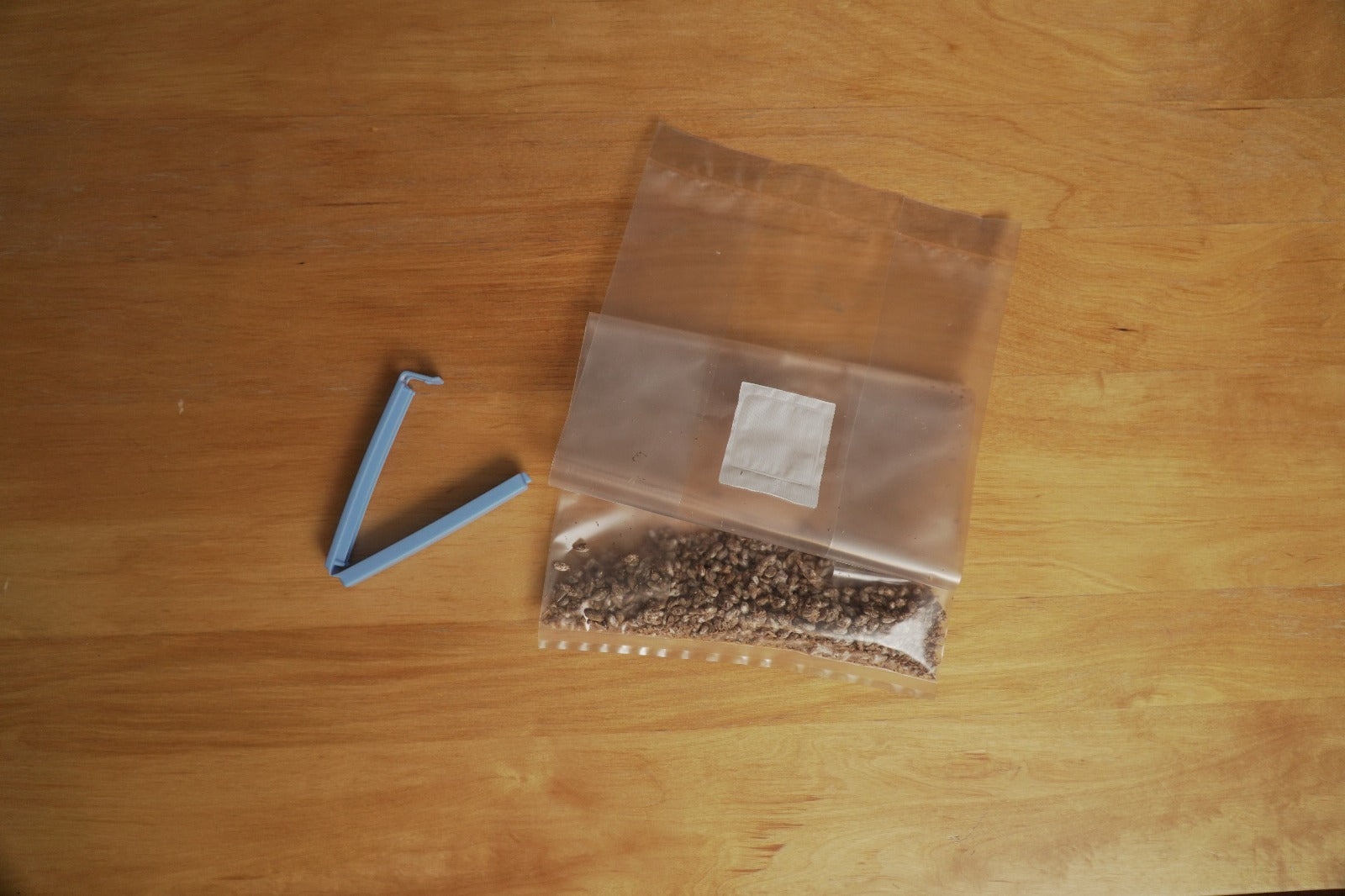 Nettkurs - Dyrk østerssopp på kaffegrut inkl. dyrkesett